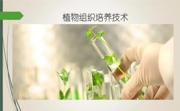 孩子的培养心得5篇