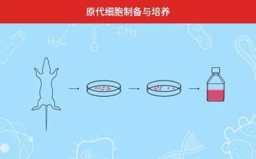 人才培养计划工作计划5篇