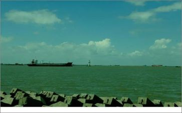 品味茶作文模板7篇