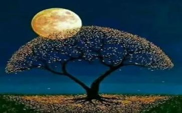 品味茶作文推荐8篇