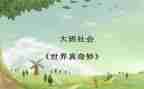 奇妙的梦幼儿园教案5篇