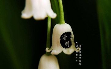 幼儿园清明节主题活动总结5篇