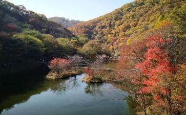 清源山作文8篇
