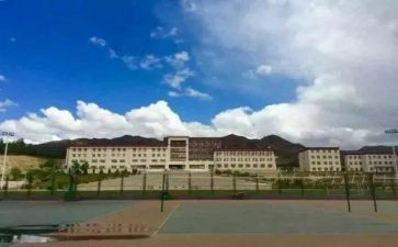 青政心得体会800字8篇