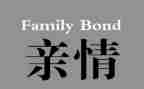 记录亲情的作文5篇
