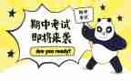 期中前的个人总结字通用6篇