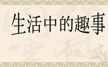 《过年趣事》作文参考8篇
