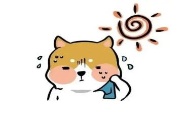 “热爱”作文最新6篇