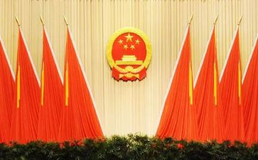 2024年镇人大个人述职报告8篇