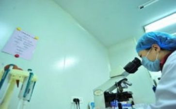 保险业务个人工作总结5篇