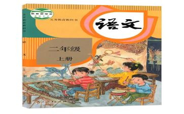 中班上学期个人教学总结6篇
