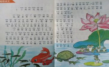 小学个人教育教学总结7篇