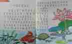 小学个人教育教学总结7篇