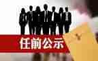 自任职以来述职报告5篇