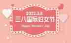 三八节学校活动总结8篇