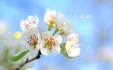 2024年三月工作总结参考7篇