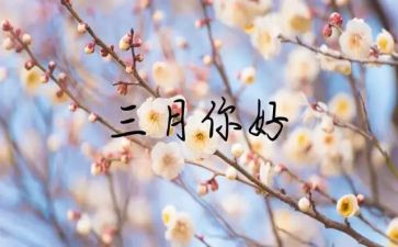 三月小班工作总结最新6篇