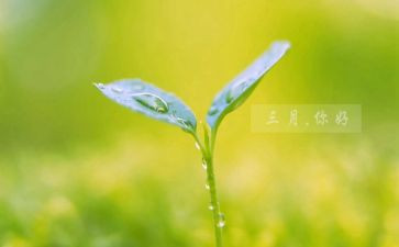 2024年三月工作总结8篇