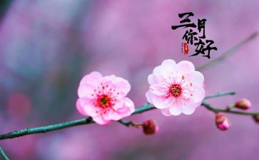 员工三月计划6篇
