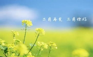 三月学雷锋活动心得体会6篇