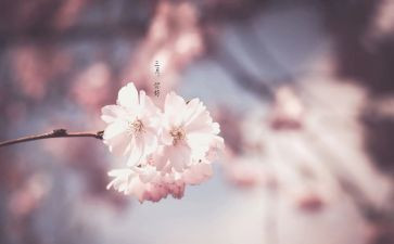 2024年三月工作总结推荐8篇
