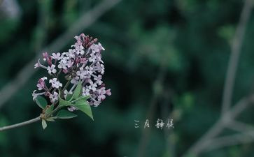 工作三月总结模板5篇