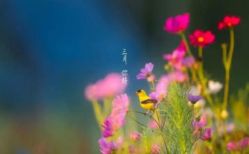 三月小班工作总结7篇