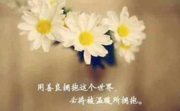 善作文800字推荐7篇