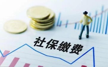 社保卡个人总结7篇