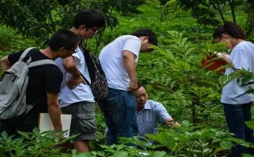 社会实践报告的心得体会8篇