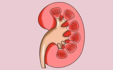 肾内科护士述职报告精选6篇