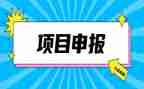 教师申报职称述职报告8篇