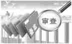 审查报告和审查调查报告6篇