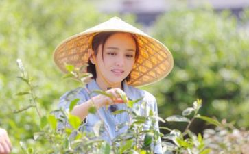 生活组工作总结范文7篇