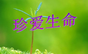 感悟生命类作文最新5篇