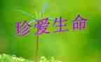 关于生命安全的演讲稿500字7篇