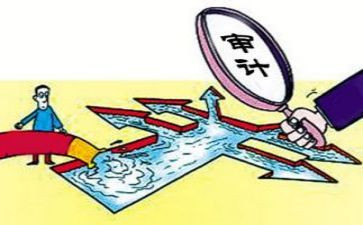 个人审计总结报告6篇