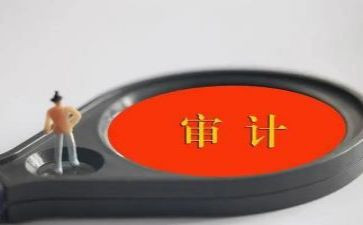 审计股工作计划7篇