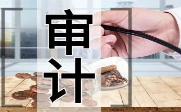 审计年度个人总结范文5篇