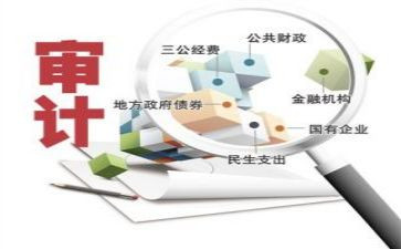 审计年终工作总结范文5篇