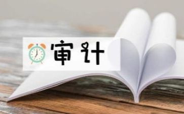 审计干部工作总结6篇