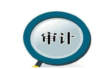 2024年高校审计工作总结7篇
