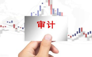 审计年度个人总结8篇