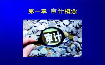 审计实习报告模板6篇