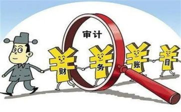 审计局年度工作计划6篇