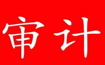 审计个人实习总结7篇