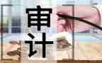 审计年度个人总结范文5篇