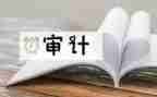审计干部工作总结6篇