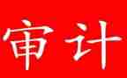 审计个人实习总结7篇