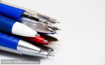 实习转正申请书8篇